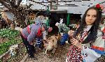 Село Свирачи - Коледа - Печено прасе - Традиция