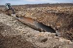 Годишен фото обзор на 2021 година през обективите на агенция Булфото