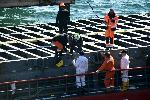 България е дала 2,5 млн лева за спасяването на кораба 'Вера Су'
