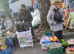 София - Животински пазар