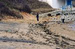 Черноморец - Пристанищно съоръжение унищожава централния плаж