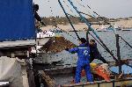 Черноморец - Институт по океанология - Замервания - Плаж