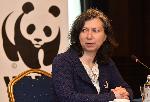 София - WWF - Доклад