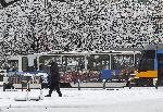 София - Сняг в София