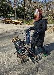 Пенсионерка събира клони за огрев в Морската градина на Варна