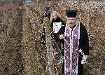 Долни Чифлик - Заразан