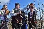Село Свирачи, Ивайловград - Трифон Зарезан