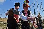 Село Свирачи, Ивайловград - Трифон Зарезан