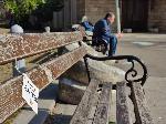 Варна - Ден на добротата