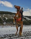 Село Дивотино, Перник – Тодоровден с надбягвания