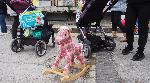 Варна - Бежанци