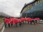 Фенове блокираха Околовръстен път в протест срещу ръководството на БФС