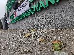 София - протест срещу управлението на Борислав Михайлов