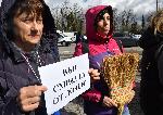 Село Лозен, София – Протест срещу изграждането на ферма за ларви