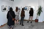 София – Фотографска изложба "Различни ъгли по сложни въпроси"