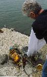Бургас – Почистване на акваторията от водолази
