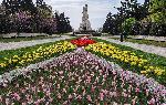 Варна - Лалета в Морската градина