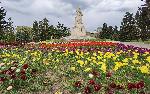 Варна - Лалета в Морската градина