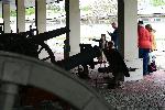 София - Гергьовден в НВИМ