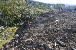 София - Протест в защита на Боянското плато