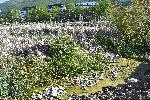 София - Протест в защита на Боянското плато