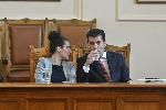 София - Парламентарен контрол