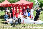 София - Киноложка изложба в Южния парк