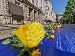 София - 100 метрово украинско знаме на Славейков