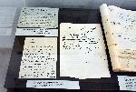 София – Документална изложба „Дните на Мустафа Кемал Ататюрк в София“ - Илияна Йотова
