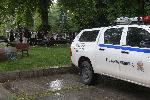 София - паднало дърво