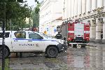 София - паднало дърво
