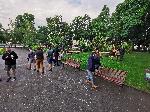София - паднало дърво