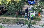 София - Инцидент - Арест - Южен парк