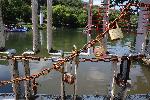 Плевен - Заключена любов