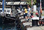 Варна -  Риболов на Морска гара
