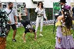 София - Университетска ботаническа градина - Hendrick’s Odd Party 2022