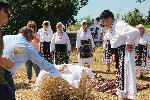 Село Дропла - Жътва