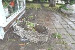 София - Катастрофа - Загинали - Национална следствена служба - Оглед