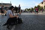 София - протест блокира кръстовището на бул Черни връх