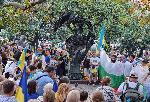 София - Антиправителствен протест #ГАZwithme
