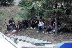 Бургас - Катастрофа с автобус със мигранти - загинали полицаи