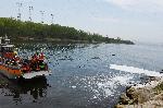 Варна - Пълномощабно учение