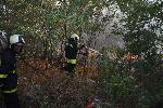 Голям пожар  във Варна