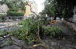 Бургас – Буря