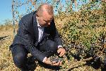 Бургас - Пострадали земеделски райони