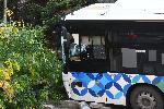 София – Катастрофа с автобус