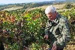 Село Свирачи, Ивайловград - гроздобер