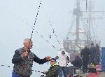На  Морска гара във Варна десетки рибари опитаха късмета си