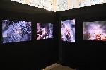 София - Изложба - nOva Art Space