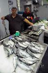 Бургас - Риба - Паламуд - Рибен пазар